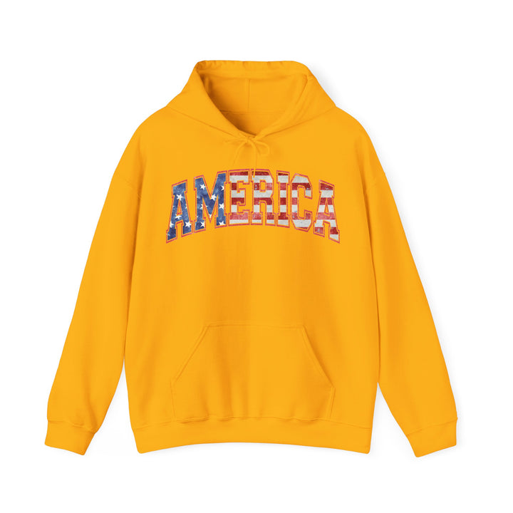 America - Unisex Heavy Blend™ Hooded Sweatshirt