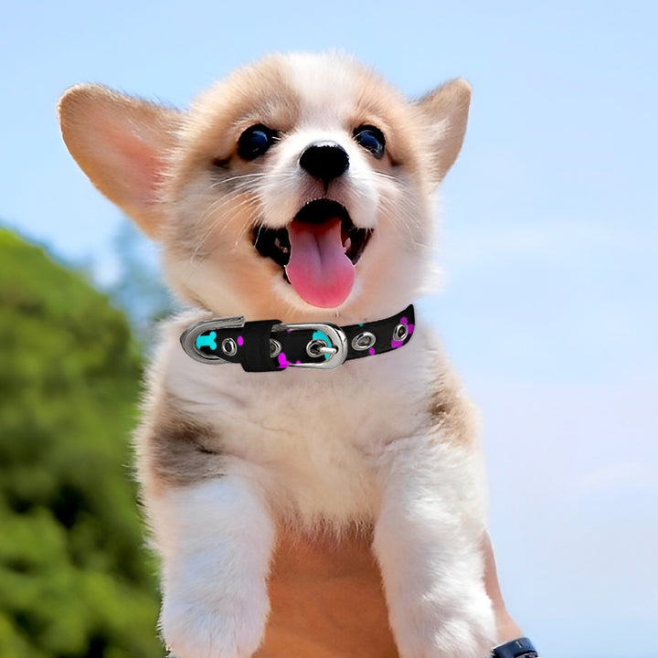 Bone Bum - Pet Collar