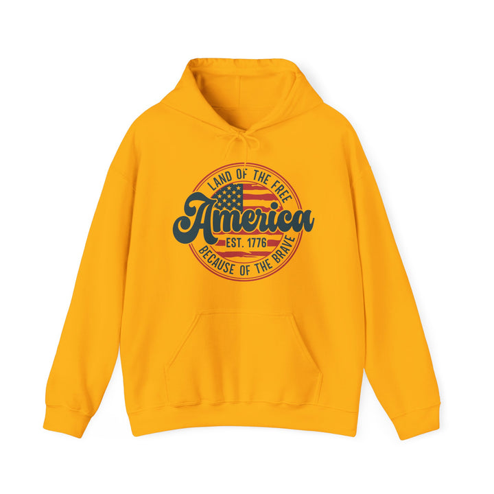 America 1776 - Unisex Heavy Blend™ Hooded Sweatshirt