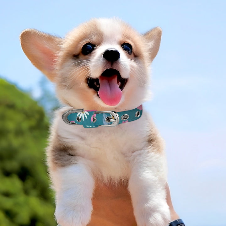Bright Spring Pattern - Pet Collar