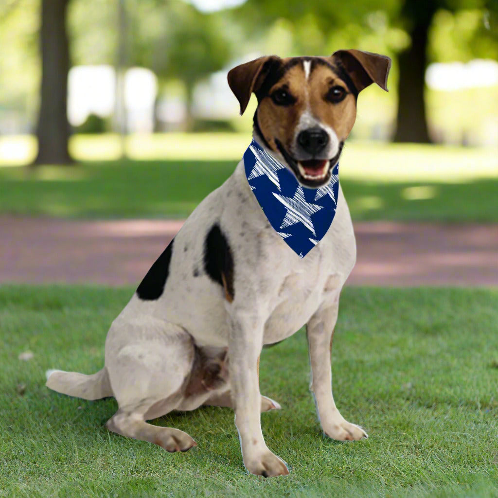 4th of July- Pets