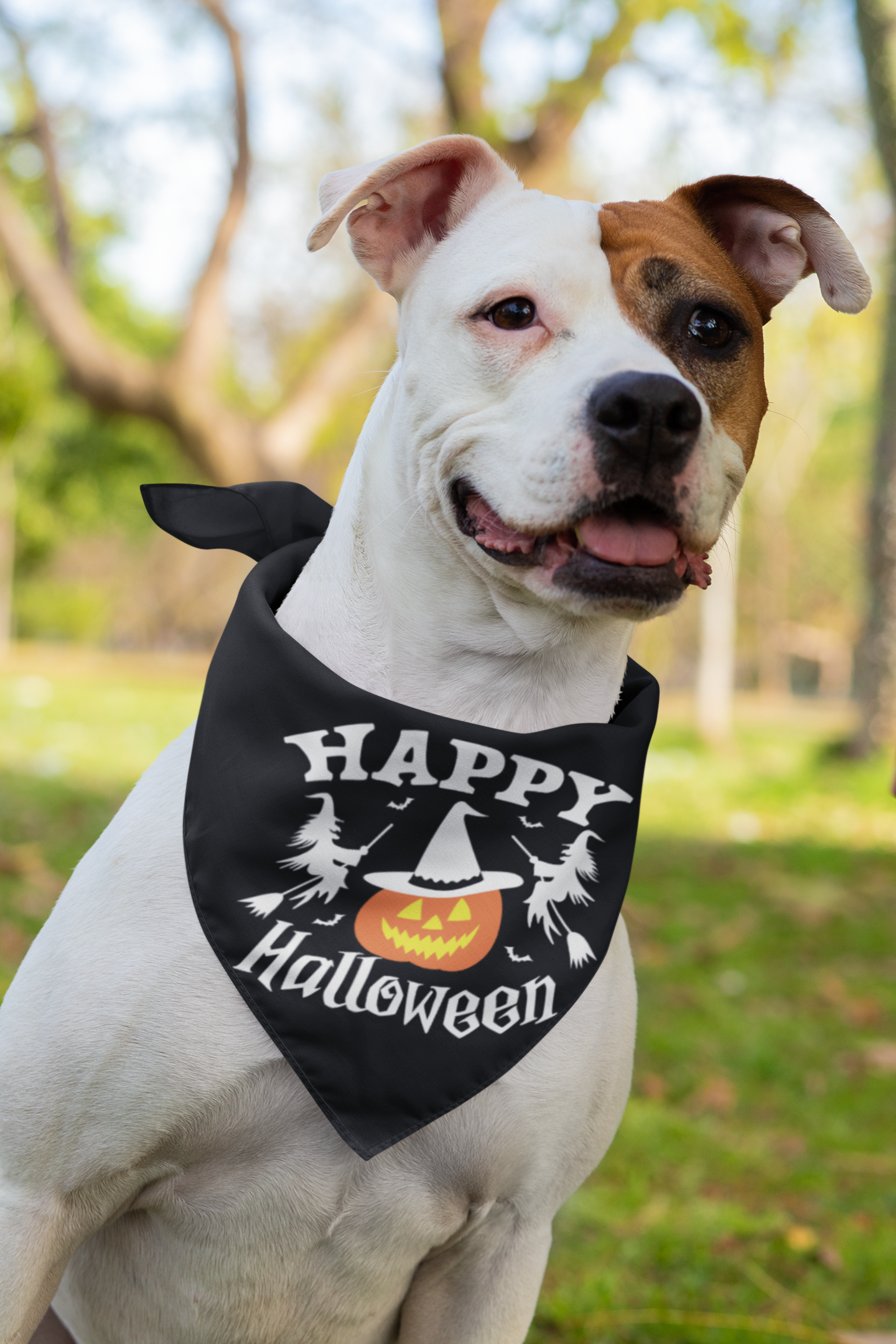 Halloween- Pets
