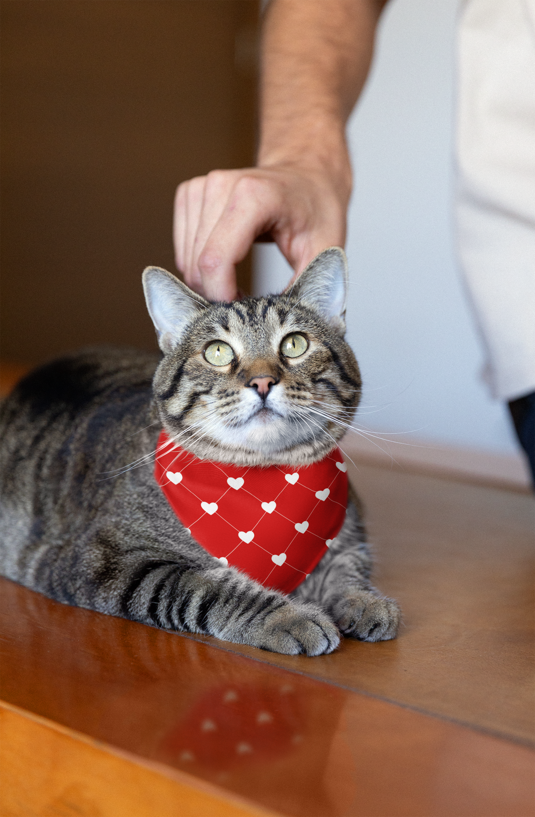 Valentines Day- Pets