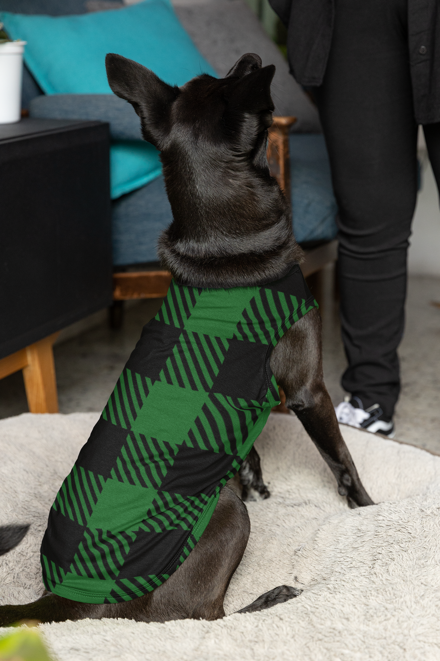 St. Patricks Day- Pets