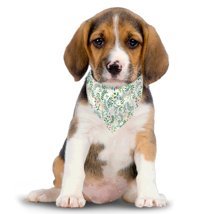 Spring Flowers - Dog Bandanas Double Sided with Buckle