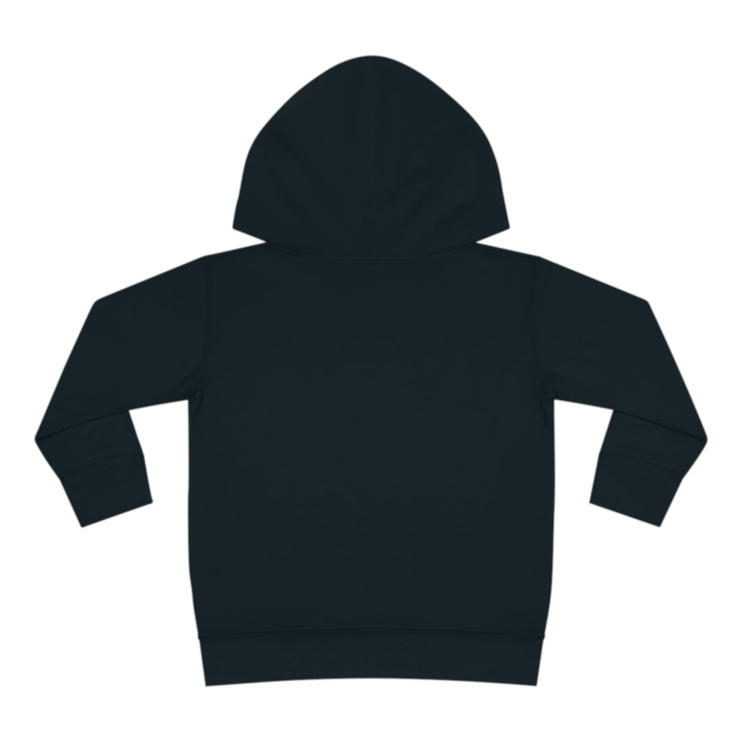 Feel The Sunset Arizona - Toddler Pullover Fleece Hoodie