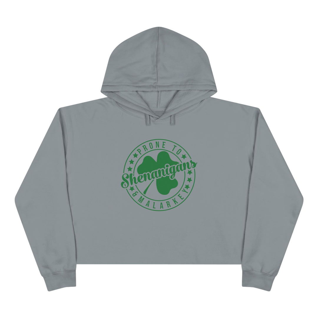 Shenanigans & Malarky - Crop Hoodie