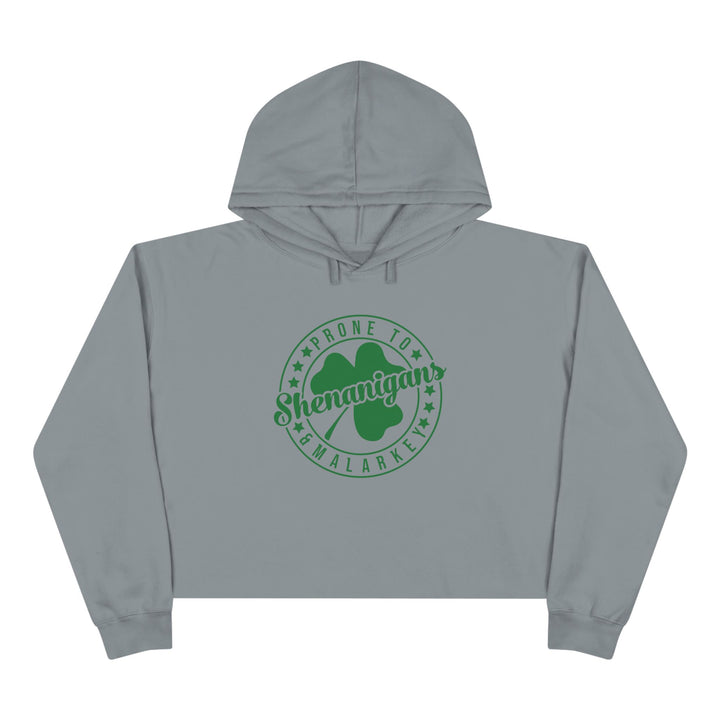 Shenanigans & Malarky - Crop Hoodie