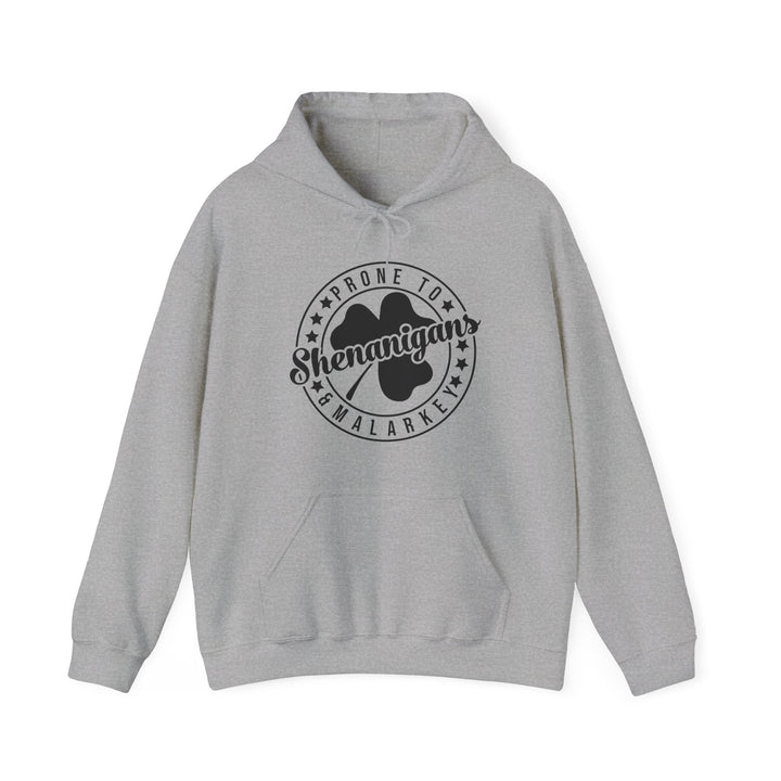 Shenanigans & Malarky - Unisex Heavy Blend™ Hooded Sweatshirt