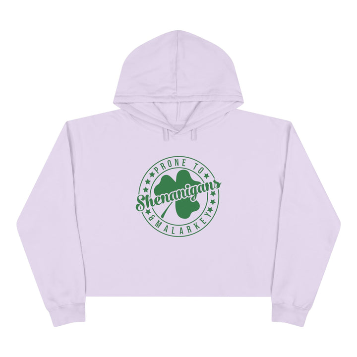 Shenanigans & Malarky - Crop Hoodie