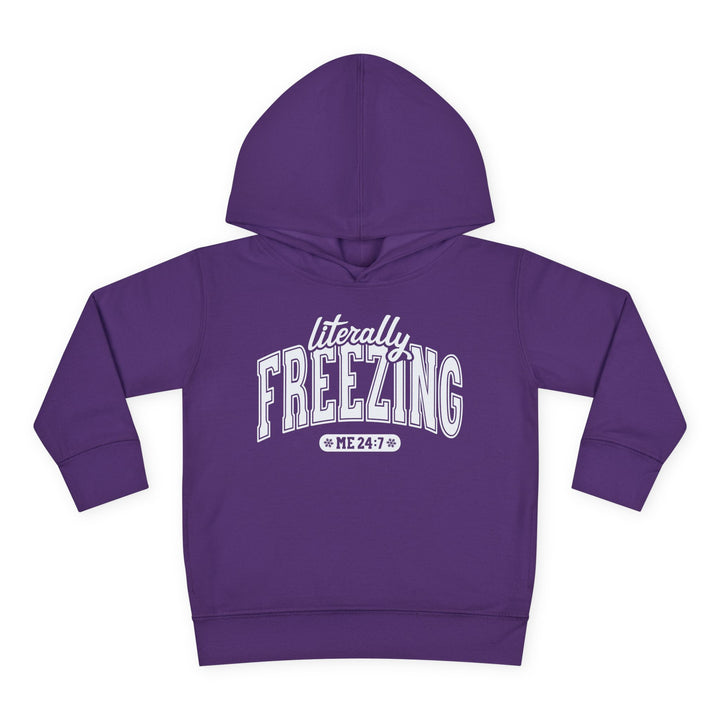 Literally Freezing - Toddler Pullover Fleece Hoodie