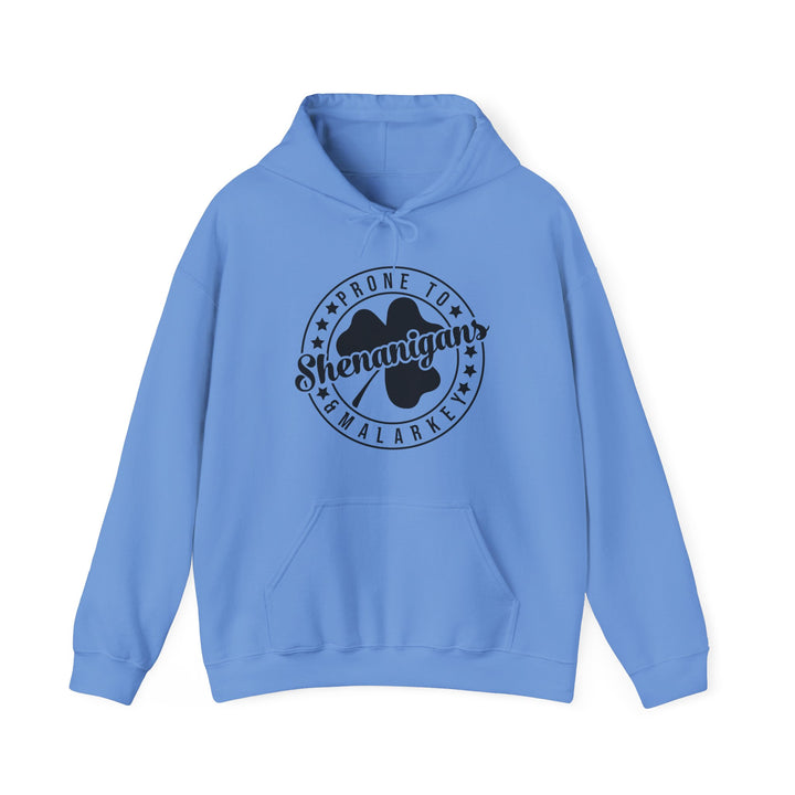 Shenanigans & Malarky - Unisex Heavy Blend™ Hooded Sweatshirt