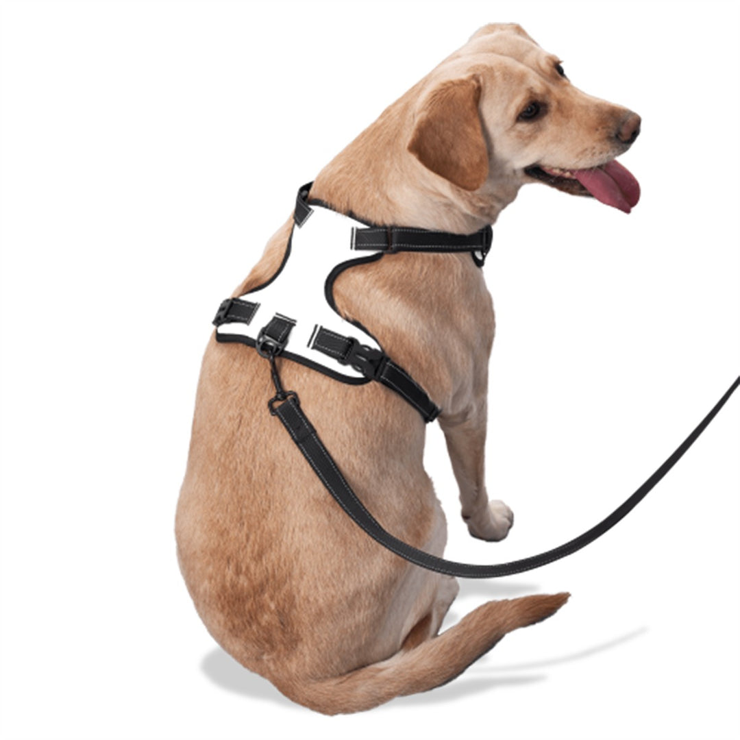 Vibrant Pink Spring Pattern - Dog Harness