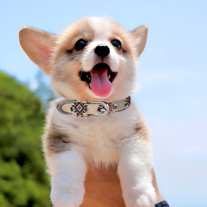 Tribal Indian Tan - Pet Collar