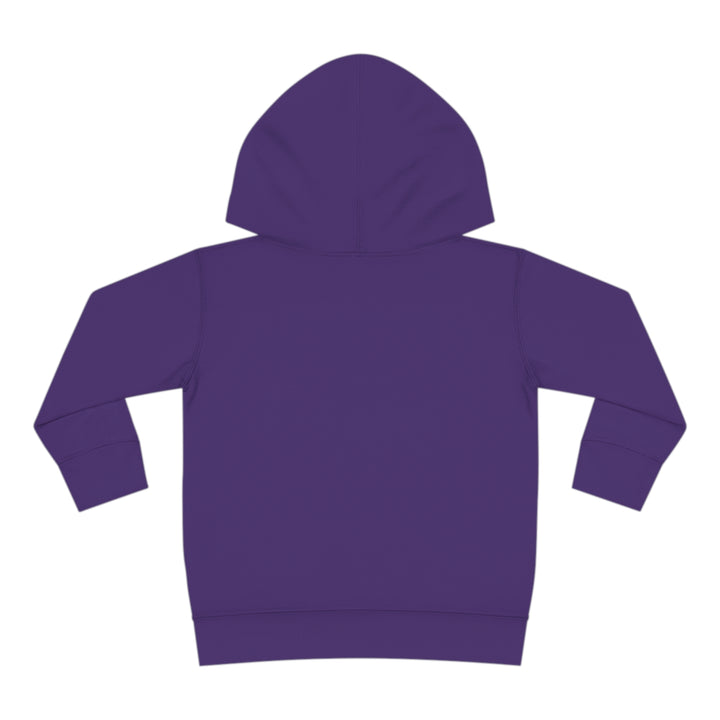 Getting Candy Wasted - Toddler Pullover Fleece Hoodie
