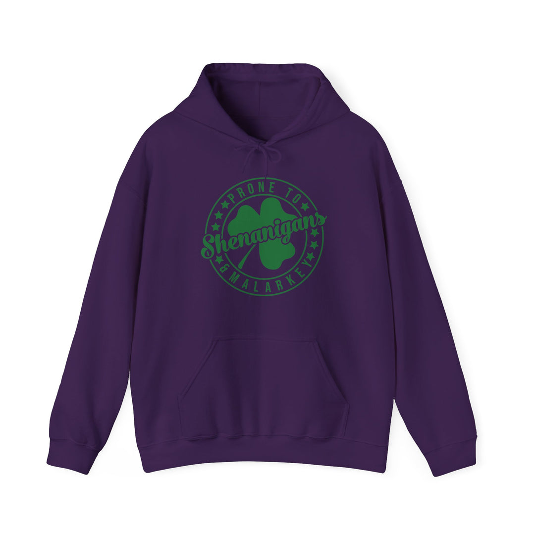 Shenanigans & Malarky - Unisex Heavy Blend™ Hooded Sweatshirt