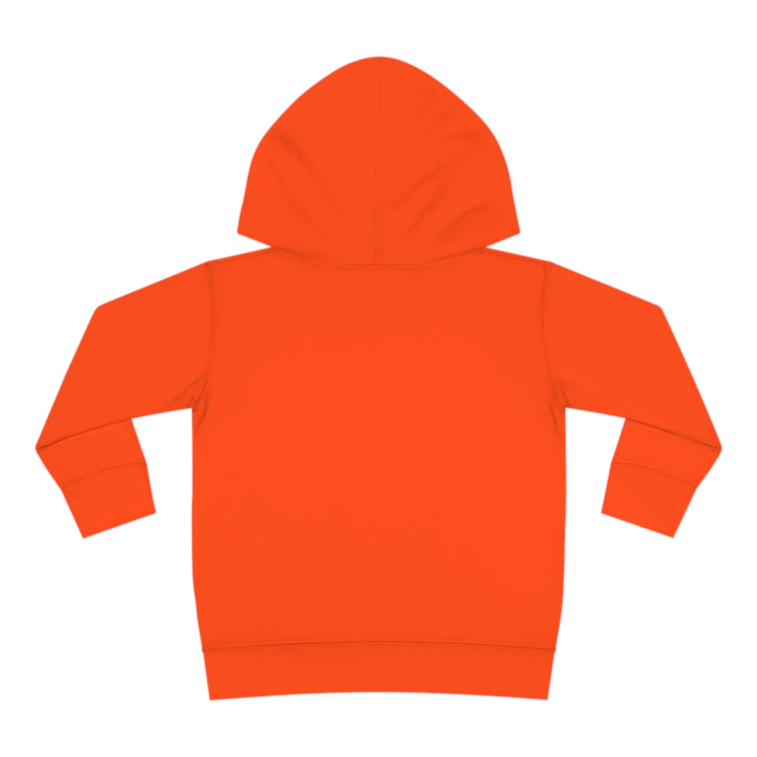 Cutest Turkey Girls - Toddler Pullover Fleece Hoodie