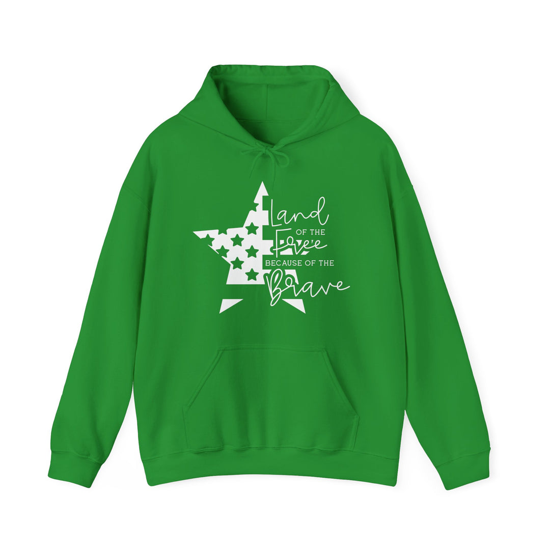 Land Of The Free - Unisex Heavy Blend™ Hooded Sweatshirt