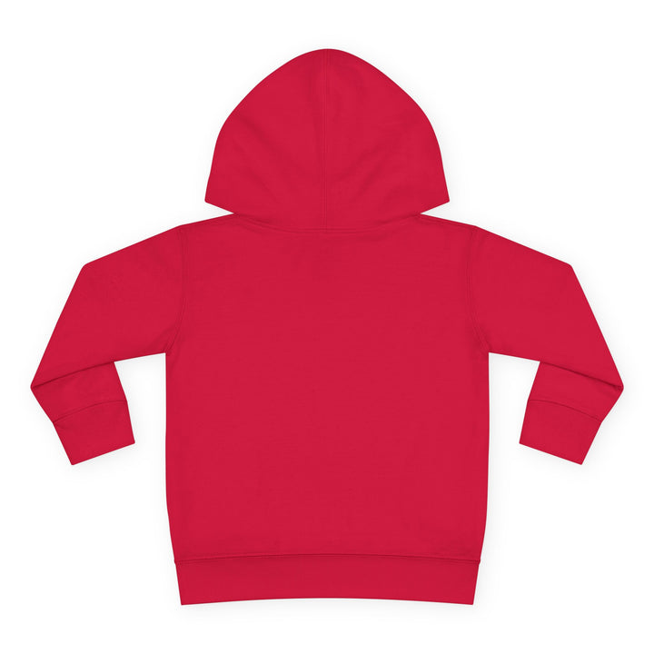 Trouble Never Looked So Cute - Toddler Pullover Fleece Hoodie
