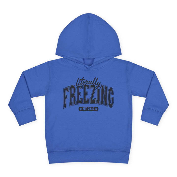 Literally Freezing - Toddler Pullover Fleece Hoodie