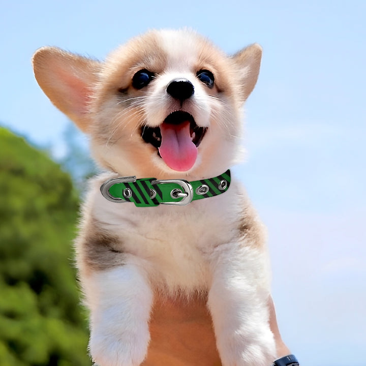 Green Plaid - Pet Collar