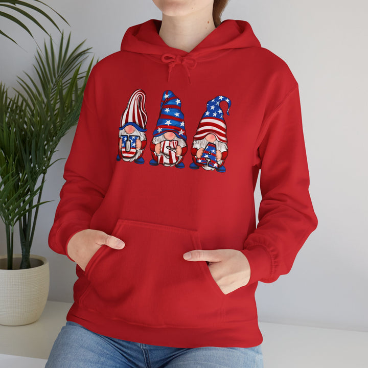 4th Of July Gnomes - Unisex Heavy Blend™ Hooded Sweatshirt