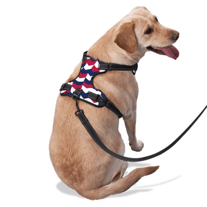 Patriotic Abstract - Dog Harness