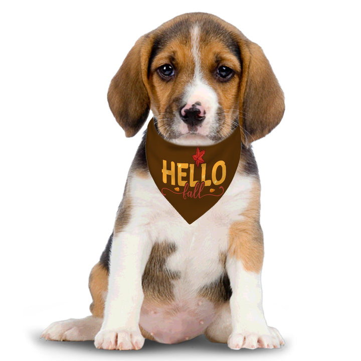Hello Fall - Dog Bandanas Double Sided with Buckle