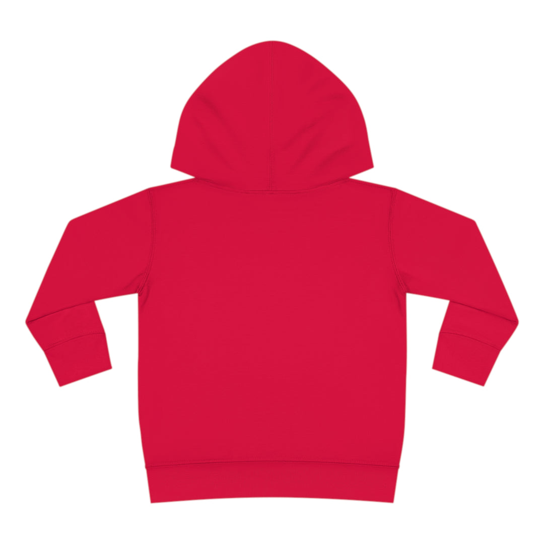 Cutest Turkey Girls - Toddler Pullover Fleece Hoodie