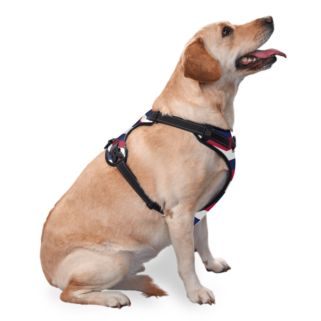 Patriotic Abstract - Dog Harness