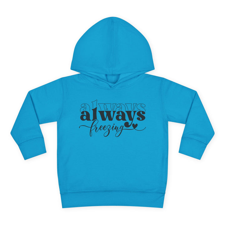 Always Freezing - Toddler Pullover Fleece Hoodie