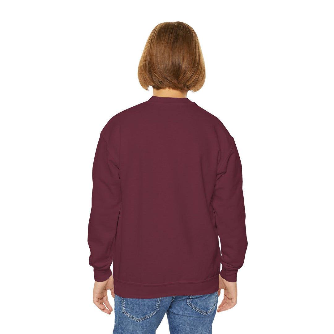 Desert Rainbow - Youth Crewneck Sweatshirt