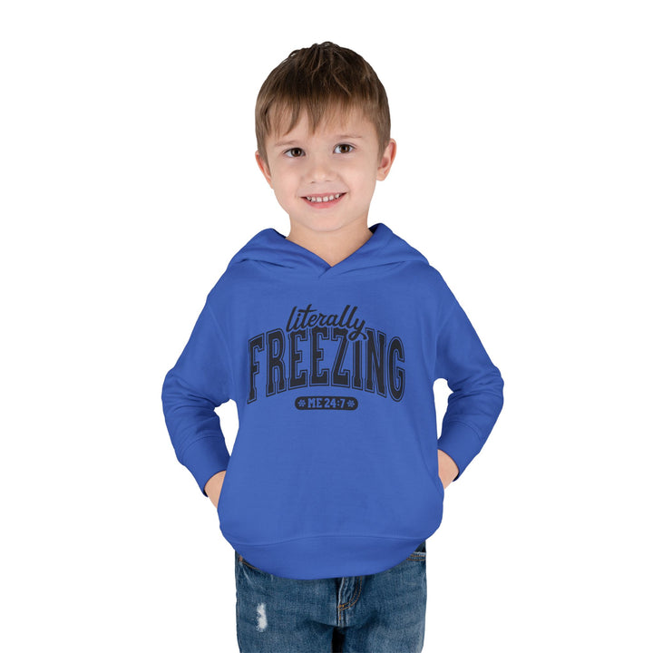 Literally Freezing - Toddler Pullover Fleece Hoodie