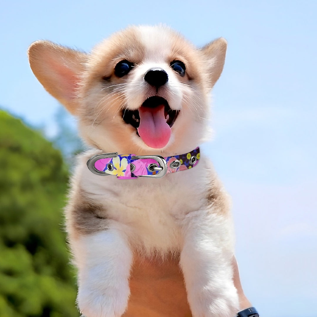Vibrant Pink Spring Pattern - Pet Collar