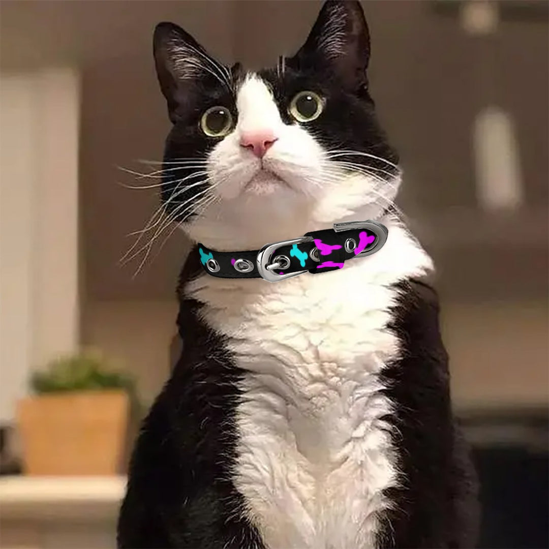 Bone Bum - Pet Collar