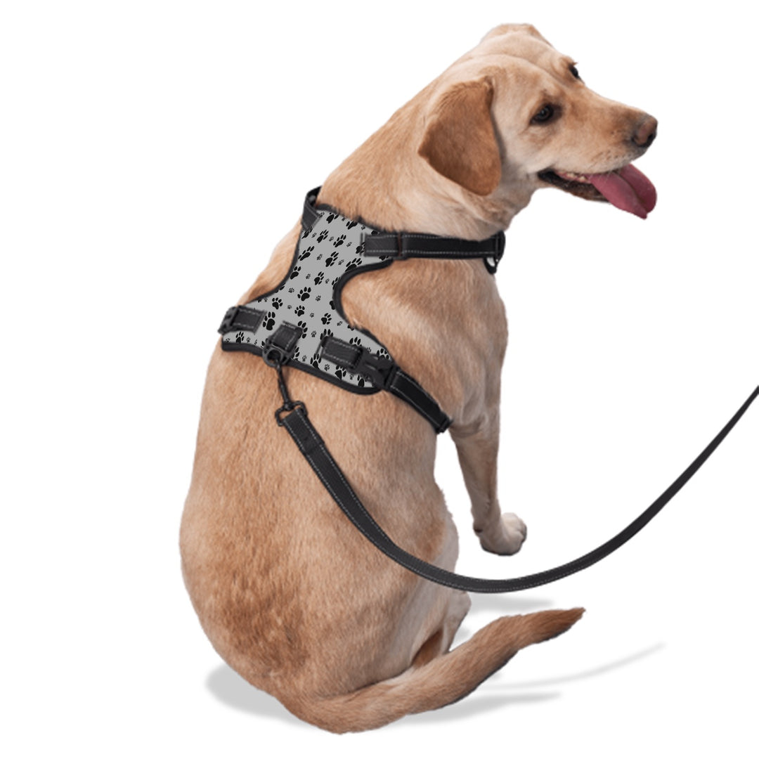 Paw Print - Dog Harness