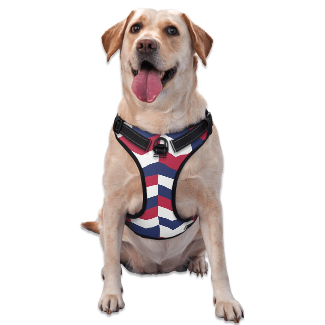 Patriotic Abstract - Dog Harness
