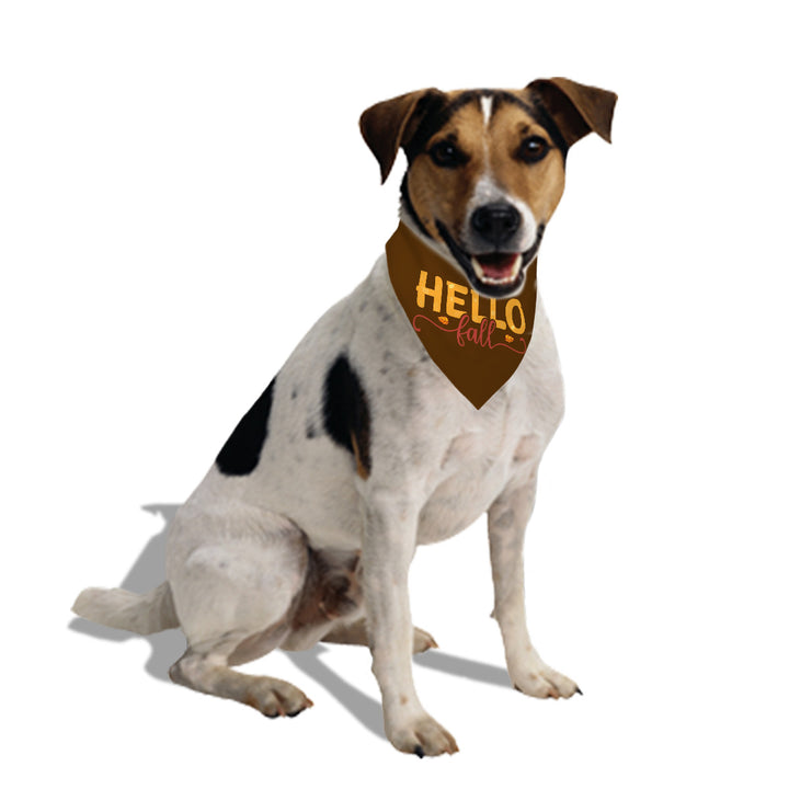 Hello Fall - Dog Bandanas Double Sided with Buckle