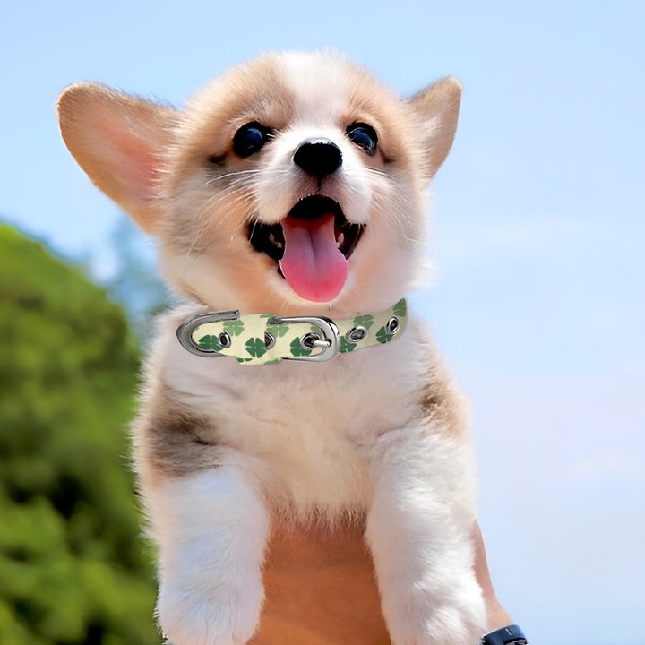 Yellow Clover - Pet Collar