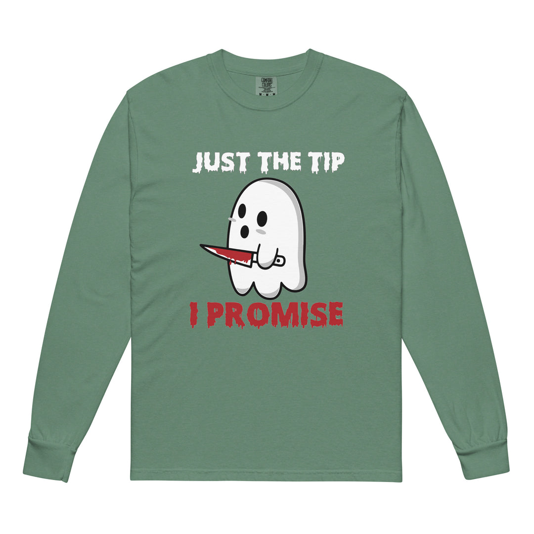 Just The Tip I Promise - Heavyweight long-sleeve shirt